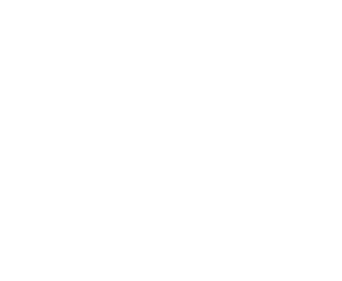 smart engineering logo